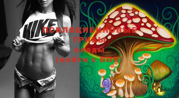 PSILOCYBIN Алексеевка