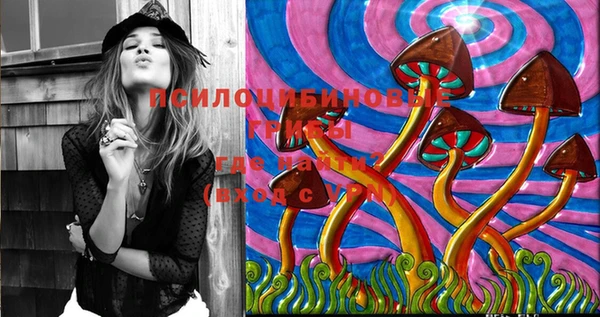 PSILOCYBIN Алексеевка