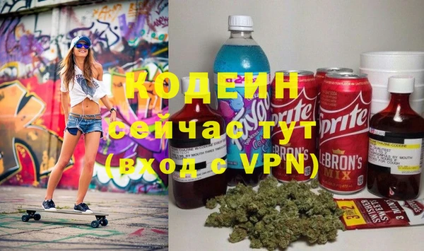дживик Абаза