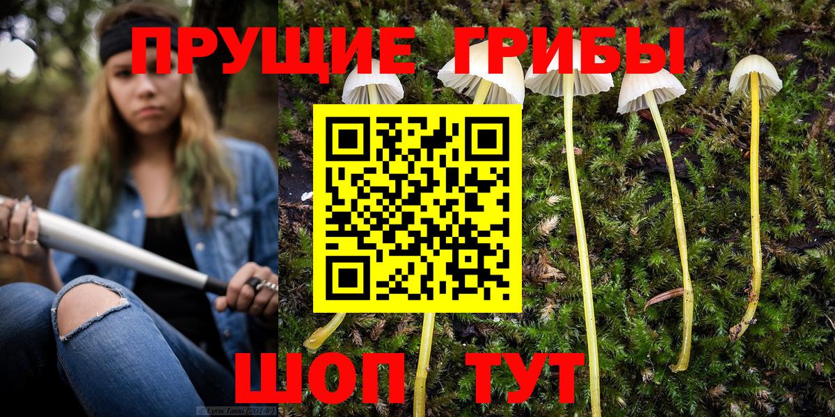 Галлюциногенные грибы прущие грибы  Вход с VPN  Иркутск 