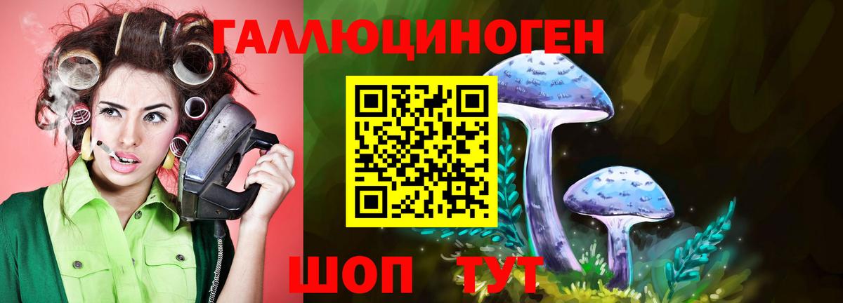 Псилоцибиновые грибы GOLDEN TEACHER Иркутск