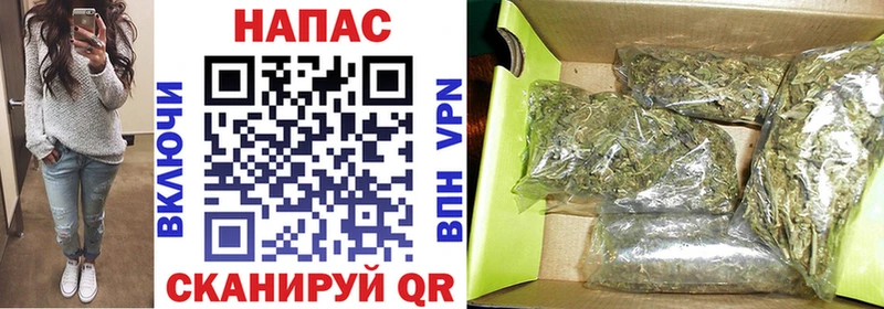 Конопля план  Иркутск 